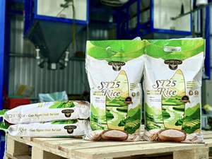 Arroz Vietnam ST25 | Arroz exclusivo de Sunrise | Embalaje OEM 1kg 5kg 10kg para uso-WA + 84 985312932 (MS Hermione) - Product Image 5