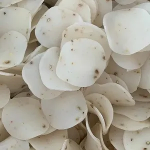 Premium quality prawn cracker for exporting