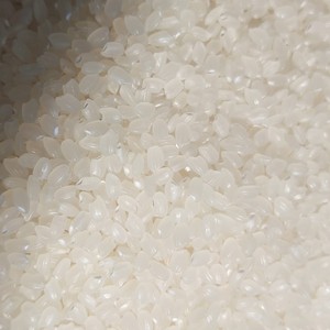 Vilaconic Factory's Soft White Dry Vietnamese Calrose Japonica Rice Short Medium Grain Middle East Market WhatsApp - Product Image 5