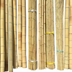 Productos de bambú respetuosos con el medio ambiente para la Agricultura y procedentes de Vietnam - Product Image 1