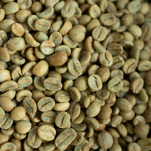 Granos de Café Verde Arábica de Vietnam, Exportación a Granel, Proveedor de Café Sostenible para Café Especializado en Europa - Product Image 2