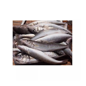 Offre Spéciale entier rond congelé frais merlu poisson en vrac Style temps emballage paquet étagère AD 3 Cm 10 Kg 1 grade dans le bloc - Product Image 4
