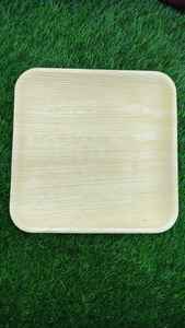 Plato cuadrado plano sostenible y ecológico de hoja de palma de areca biodegradable desechable de 10 pulgadas vajilla sin químicos - Product Image 6