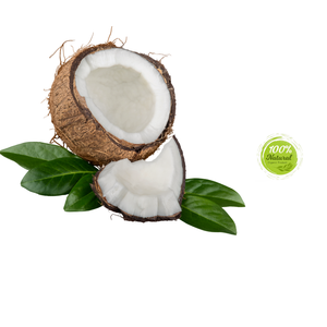 Coquille de noix de coco séchée fraîche Ingrédient clé dans les produits alternatifs sans noix - Product Image 3