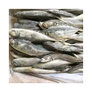 Высококачественная Органическая замороженная рыба скумбрия многофункциональная пища по отличной цене оптом - Product Image 4