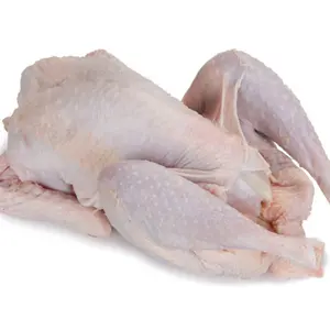 Pollo intero congelato Halal in vendita/pollo intero congelato Halal HACCP ISO e parti di pollo