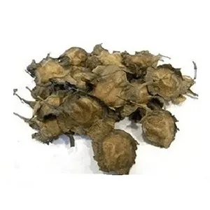 ดอกไม้แห้ง RK - เมล็ดไม้จันทน์แดง RK เมล็ดพืชพันธุ์ Pterocarpus Santalinus ที่ผ่านกระบวนการผลิตแล้ว - Product Image 1