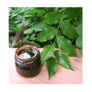 น้ำมันหอมระเหยบริสุทธิ์สกัดจากเรซินธรรมชาติแบบกลั่นไอน้ำสำหรับผิวผ่อนคลายสุขภาพทางอารมณ์ - Product Image 6