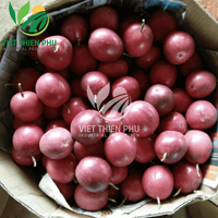 Groothandel Zacht Gedroogd Passiefruit 100% Natuurlijke Plak Premium Kwaliteit Gedroogd Tropisch Fruit Viet Thien Phu Uit Vietnam