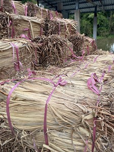 Jacinthe d'eau brute de haute qualité du Vietnam-Jacinthe d'eau brute en vrac écologique pour des projets de conception artisanale durables - Product Image 2