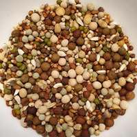 Nourriture Premium pour Pigeons avec du Maïs, du Blé, du Millet, des Pois et des Graines de Tournesol