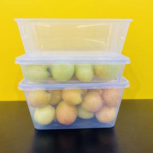 Newest design Super Quality Take Out Transparent Injection Rectangle Disposable 550 750 1000ml <b>Plastic</b> <b>Food</b> <b>Container</b> <b>with</b> <b>Lids</b> - Product Image 5