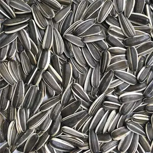 Semillas de girasol 361, granos de semillas de girasol de alta calidad - Product Image 1
