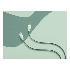 Cavo <b>USB</b> <b>C</b> STYLECOLOR Green 1m USBDATAC2CSMARTG - Product Image 3