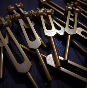 Jeu de diapasons chromatiques de haute qualité pour la quinque parfaite, 13 pièces - Non lestés - Product Image 1