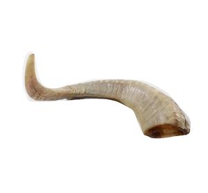 Decoración de Pared, Par de Cuernos de Oveja 100% Naturales, Pulidos a Mano, Hechos a Mano, Cuernos de Oveja Reales, Producto de Cuerno de la Mejor Calidad - Product Image 6