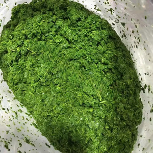 Hojas de yuca limpias y listas para congelar para una cocina africana y asiática saludable en todo el mundo - Product Image 4