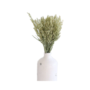 ดอกไม้แห้งคุณภาพพรีเมียม ขนนกแห้ง สำหรับงาน DIY ตกแต่งบ้าน งานอีเว้นท์ สำนักงาน เป็นมิตรกับสิ่งแวดล้อม - Product Image 1