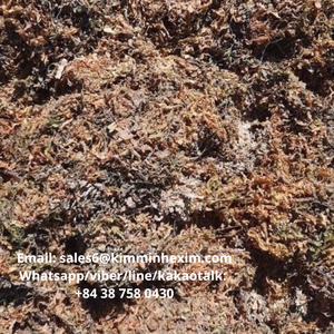 ขายร้อน SARGASSUM สาหร่ายแห้งสำหรับอาหารสัตว์เวียดนาม - Product Image 2