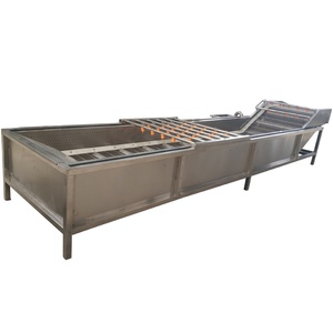 Machine à laver les légumes et fruits automatique à haut rendement, entraînée par un moteur, avec rouleaux brosse et nettoyage à bulles en SUS304 - Product Image 2