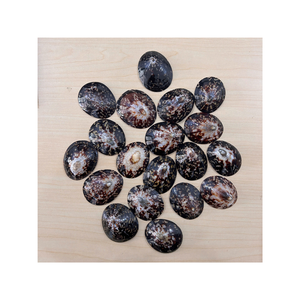 Conchas de Lapa naturales de alta calidad para decoraciones de bricolaje, uso de acuarios y exhibiciones de arte del proveedor de Vietnam - Product Image 2