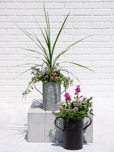 Jardineras de jardín hechas a mano decorativas de metal galvanizado de alta calidad para uso en exteriores e interiores a un precio asequible - Product Image 4