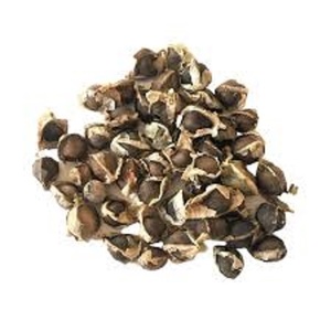 Restockage de graines de Moringa biologiques pour les bienfaits santé et l'industrie, à prix de marché, en vente - Product Image 4