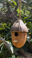 Nids d'oiseaux en coco écologiques et durables fabriqués à partir de cosses et coquilles de noix de coco originales et naturelles