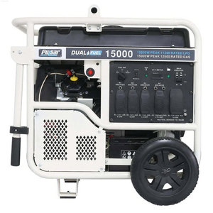 Générateur portable à double carburant Pulsar série Standard PG15KVTWB - Product Image 1