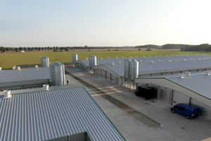 Đúc Sẵn Chi Phí Thấp Cổng Thông Tin Khung Kết Cấu Thép Gia Cầm Nhà Chở Gà Trang Trại Xây Dựng Nhà Cho 10000 Gà - Product Image 2