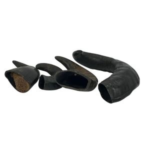 Cuerno de búfalo natural para masticar perros, Tratamiento duro de larga duración para dientes fuertes, encías saludables y masticación segura para todas las razas - Product Image 2