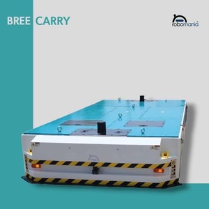 Approvisionnement direct usine : Chariot AGV Bree Carry 20000 avec navigation avancée ou capteurs de sécurité disponibles pour la vente en gros - Product Image 4