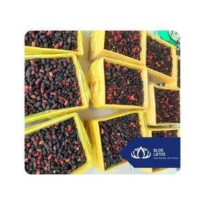 MORA CONGELADA MÁS VENDIDA, Ideal para la Elaboración de Jugos, Smoothies y Alimentos, para Pedidos al por Mayor y Personalizados, Vietnam - Product Image 1