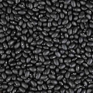 La mejor calidad al por mayor frijoles negros para la venta en el precio barato al por mayor de alta calidad nuevo orgánico púrpura negro oscuro - Product Image 1