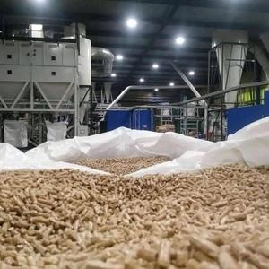 Granulés de bois de pin de haute qualité EN Plus-A1, fabrication, tailles 6 mm-8 mm, matériau en chêne, motif en bâtonnets, bois de chauffage, livraison mondiale - Product Image 3