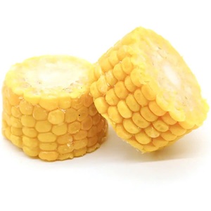 Maíz Dulce Congelado IQF Vietnamita Tipo Date, Conservación en Agua, Envasado al Vacío, a Granel - Product Image 3