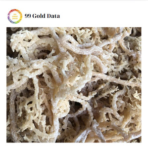 Pure Gold Sea Moss with Natural Irish Moss <b>Hand</b> Harvested from the Ocean Ready for Bulk Orders at Competitive International Rate - Product Image 6