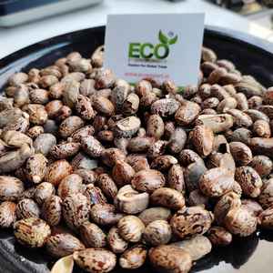 Huile de Ricinus - Product Image 2