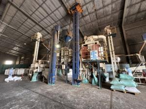 Haute Qualité Unique Épice Chaude Gras 500G/L à 660G/L Concentration Séché Poivre Noir Herbe En Gros Pas Cher Exportation En Vrac FAQ ASTA - Product Image 6