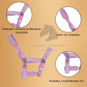 Haltères pour chevaux en néoprène et nylon durables, confortables et légers, en vente en ligne - Product Image 6