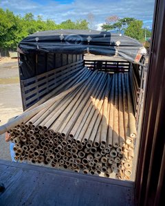 Natural Bamboo <b>Pole</b>/cane/stick/stake - Bamboo <b>Pole</b> LOW TAX - Product Image 3