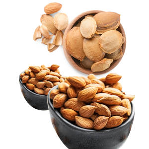 Nettoyez les noyaux amers d'abricot de finition pour la fabrication d'huile essentielle dans des produits d'agriculture - Product Image 1