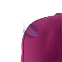Topi Baseball 5 Panel Unisex Bahan Katun Kualitas Tinggi, Desain Kanvas, Logo Custom, Snapback Adjustable