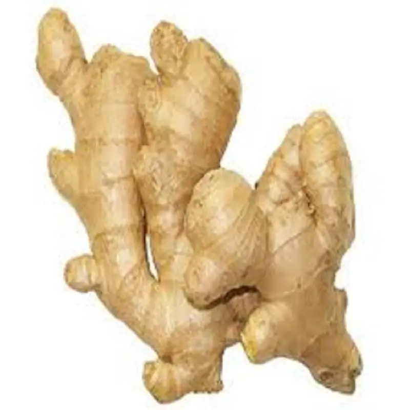 GANZ GETROCKNETER GINGER-DEHYDRIERTER GINGER ZU VERKAUFEN