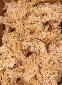100% naturel algues Seamoss Eucheuma Cottonii avec sel séché mousse de mer de qualité supérieure origine Vietnam - Product Image 6