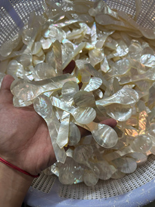 Wholesale Disposable Natural Mother Pearl Shell Spoons <b>Egg</b> Ice Cream Coffee Caviar Serving Logo Customizable Polished Technique - Product Image 4