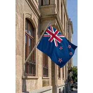 Ensemble de mât de drapeau télescopique en aluminium avec drapeaux imprimés numériquement (polyester 3x5 pieds pour les assurances et les agences de voyages) - Product Image 2