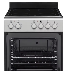 Ventes promotionnelles : Cuisinière et four électriques de 20 pouces avec plaque de cuisson vitrocéramique – Acier inoxydable, boutons robustes, garantie - Product Image 1