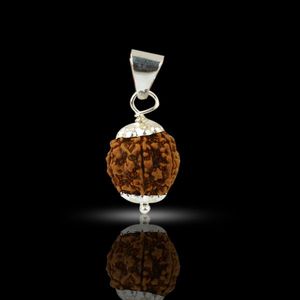 Colgante de Rudraksha Certificado de 2 Mukhi para la Armonía, el Equilibrio Emocional y la Paz Interior - Product Image 2