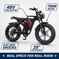 Vélo cargo électrique 48V 750W, cadre en acier, batterie lithium, double batterie, pneus larges de 20 pouces, 7 vitesses, pour la famille, la livraison et les trajets quotidiens